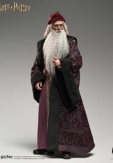 哈利·波特与密室 阿不思·邓布利多