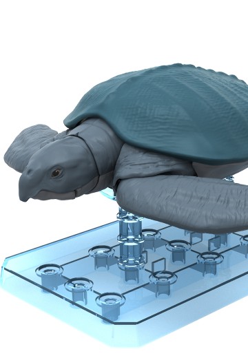 恐龙拼装模型 古巨龟 | Hpoi手办维基