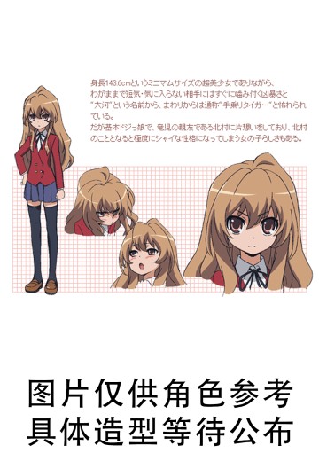 Desktop Cute  龙与虎 逢坂大河 老虎泳装 | Hpoi手办维基