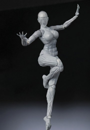 W Muscle Model 超可动女性人偶 | Hpoi手办维基