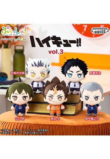 Puchishu！排球少年！！vol.3 | Hpoi手办维基