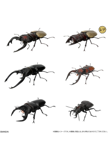 生物大图鉴 锹甲 12 小号树皮底座套装 扭蛋线上版限定