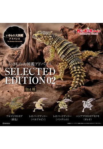 进化生物大图鉴 精选版 02 | Hpoi手办维基