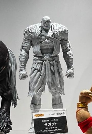 STORM ARENA 街霸6 沙加特 | Hpoi手办维基