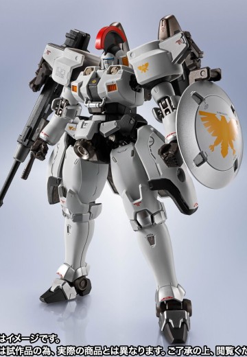 METAL ROBOT魂 ＜SIDE MS＞ 托鲁基斯