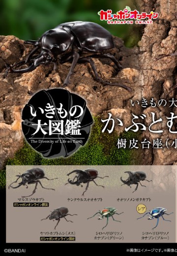 扭蛋 生物大图鉴 独角仙１1 树皮台座（小）套装 | Hpoi手办维基