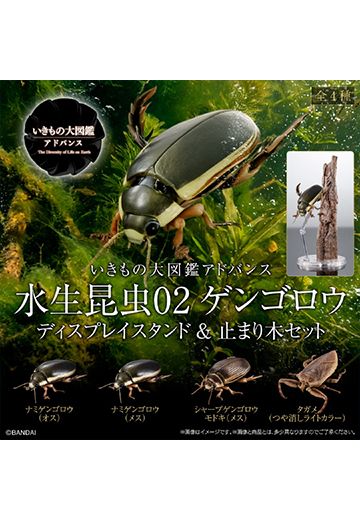 扭蛋 生物大图鉴Advance 水生昆虫02