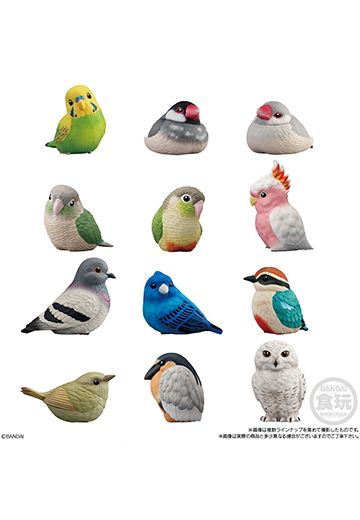 食玩 手乘朋友们10 鸟类