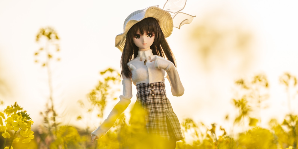 在那花田的前方是？