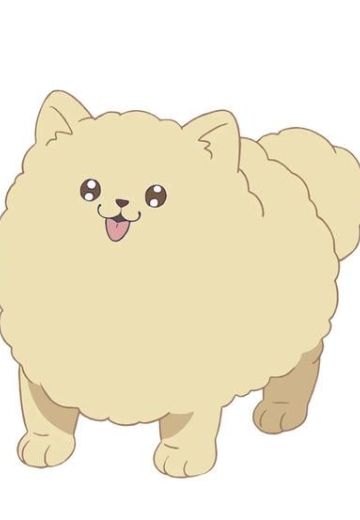 ぽん太