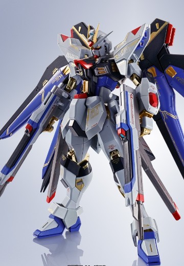 METAL ROBOT魂＜机动战士系列＞  强袭自由高达  SEED20周年纪念版