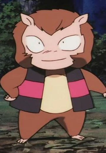 贡