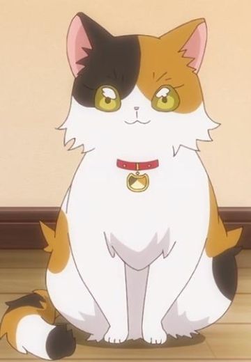 ミーコ