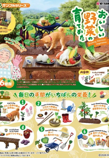 微缩摆件 小小样品 美味蔬菜培育日记 | Hpoi手办维基