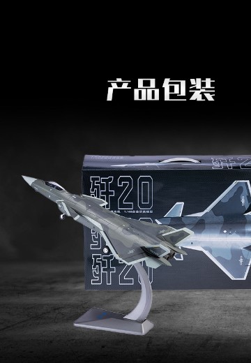 1/48 歼20战斗机；起落架可收