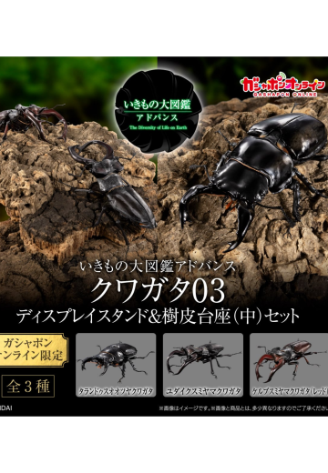 生物大图鉴 Advance 锹形虫03 展示支架 & 树皮底座（中）套装