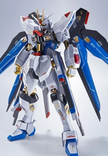 METAL ROBOT魂＜SIDE MS＞强袭自由高达 [Re:Coordinate]