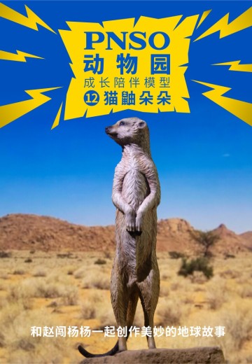 PNSO动物园成长陪伴模型12 猫鼬朵朵