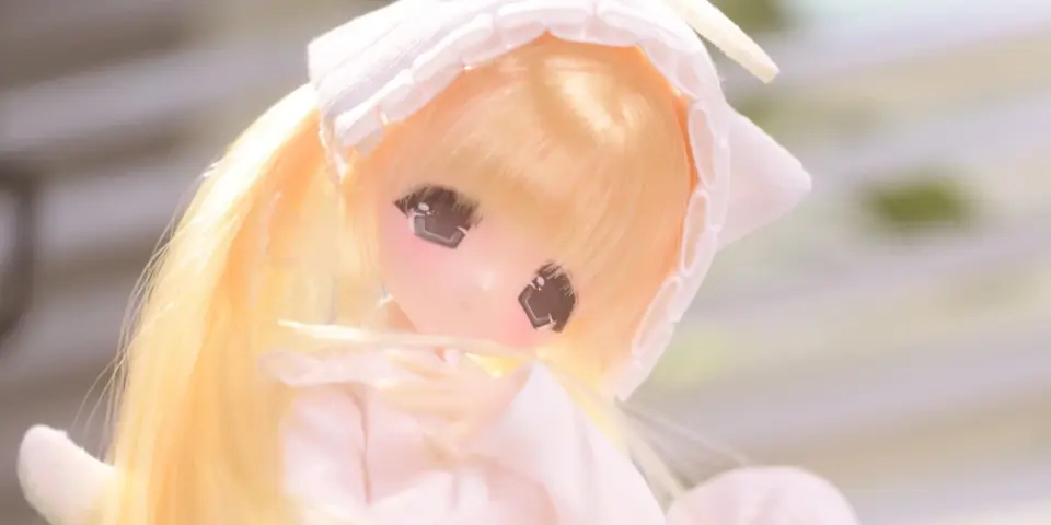天使猫猫头ପ꒰｡മ ˔ മ꒱
