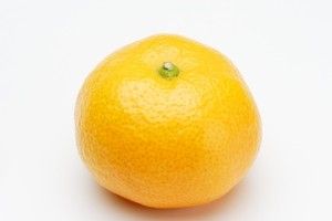 柑橘ゆすら