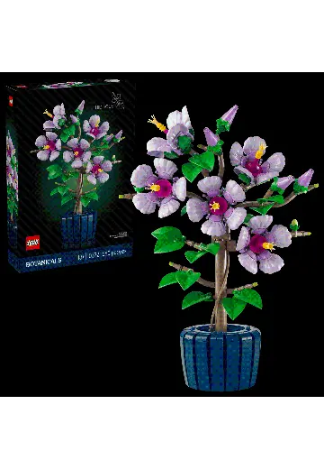 10372 芙蓉
