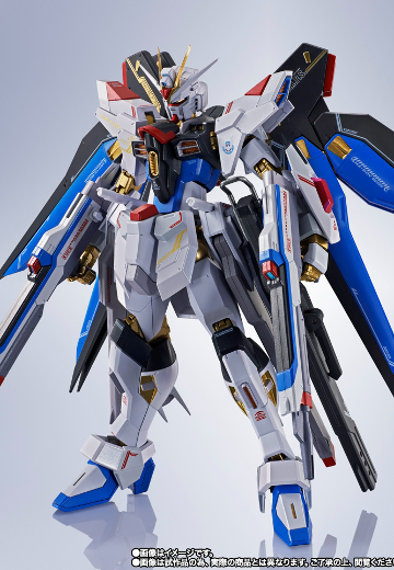 METAL ROBOT魂＜SIDE MS＞强袭自由高达二式