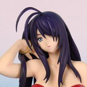 一騎当千DD 关羽云长 -Summer Vacation- 