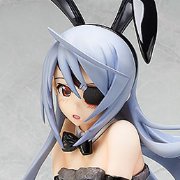 IS〈无限斯特拉托斯〉 拉芙拉 兔女郎版