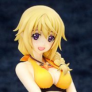 IS〈无限斯特托拉斯〉 夏洛特・迪诺亚 泳装