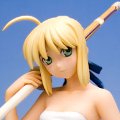 Fate/hollow ataraxia SABER 白水着バージョン