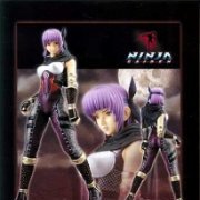 NINJA GAIDEN 绫音 ソフビ製