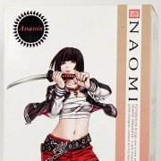 The Art of Shunya Yamashita ナオミ