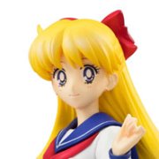 世界制服作戦 美少女战士 爱野美奈子