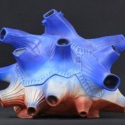 大怪兽系列巨型 布鲁顿