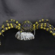 东宝大怪兽系列 库蒙加(1967版)  一般流通版