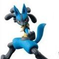 DXF  宝可拳 POKKÉN TOURNAMENT 路卡利欧