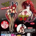 特等奖  恶魔高中D×D HERO 莉雅丝·吉蒙里 兔女郎