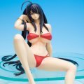一骑当千 Dragon Destiny 関羽云长 Summer Vacation 