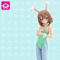 Extra Figure 笨蛋测试召唤兽 木下秀吉 Bunny ver. 