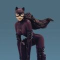 蝙蝠侠 キャットウーマン 