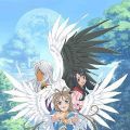 我的女神 缤纷之翼