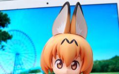 【好～厲害！】動物朋友「黏土人 藪貓」介紹☆【好好玩～！】