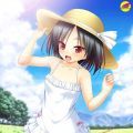 なつえっち ～めいといなかのなつやすみ～