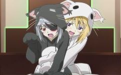 【is 初体验】家里居然有一只 拉芙拉 ，一定是我在做梦