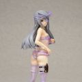 DreamTech LingerieStyle 系列 IS〈Infinite Stratos〉 拉乌拉·博迪维希 Animaru! Limited Ver. 