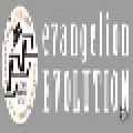 EE (EVANGELION EVOLUTION)