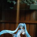 实体眼缘到雪初音