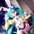 兔子初音