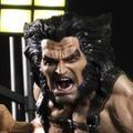 Premium Collectibles Statue X-men 金刚狼 Weapon X