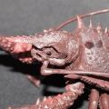 Ultimate Godzilla Collection Hyper Figure 哥斯拉 终极战役 伊比拉